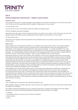 Dolphin communication rubric and answer key.indd