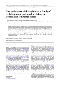Diet preferences of the Aglajidae: a family of - BORA