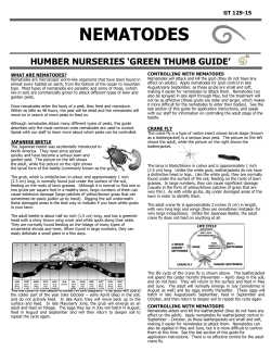 nematodes - Humber Nurseries Ltd.