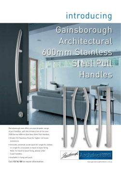 600mm Stainless Steel Pull Handles Flier