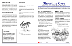 Shoreline Care
