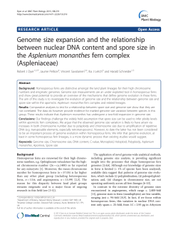 Genome size expansion and the relationship between nuclear DNA