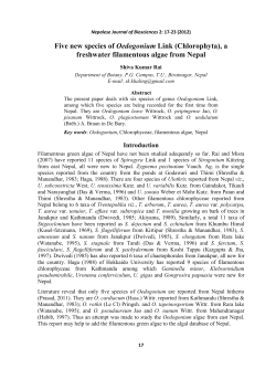 Five new species of Oedogonium Link