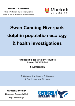 Swan Canning Riverpark Dolphin Population Ecology and Health