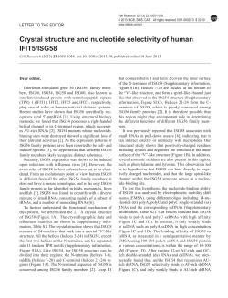 Crystal structure and nucleotide selectivity of human IFIT5