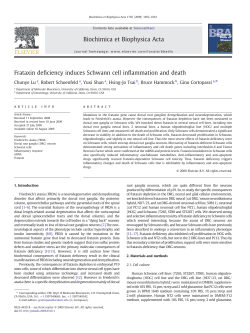 Frataxin deficiency induces Schwann cell inflammation and death