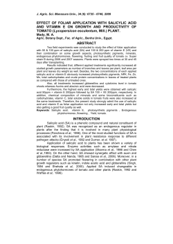 Mohamed Ahmed Mohamed Mady_Mady 6