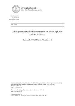Misalignment of Total Ankle Components Can Induce High Joint
