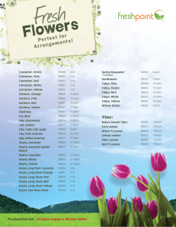 Carnation, Green Carnation, Pink Carnation, Red Carnation, White