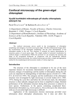 Confocal microscopy of the green-algal chloroplast