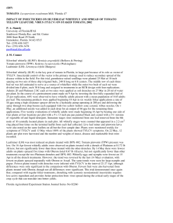 IMPACT OF INSECTICIDES ON SILVERLEAF WHITEFLY AND