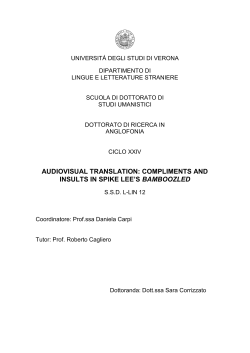 audiovisual translation: compliments and insults in spike lee`s