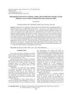Phloroglucinol, BAP and NAA Enhance Axillary Shoot Proliferation