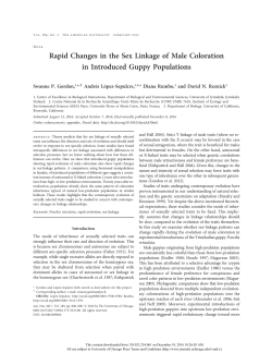 Rapid Changes in the Sex Linkage of Male Coloration in Introduced