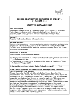 cabinet meeting – [date] - Sunderland City Council