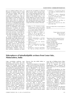 Siderophores of haloalkaliphilic archaea from Lonar lake