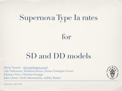 Supernova Type Ia rates for SD and DD models