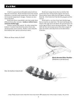 Changes in Bird Populations It`s A Bird