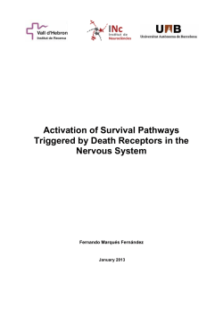Activation of Survival Pathways Triggered by Death Receptors in the