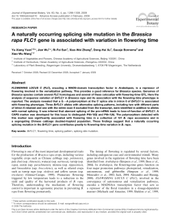 jxb.oxfordjournals.org