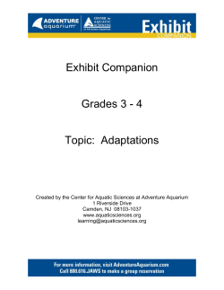 Exhibit Companion - Center for Aquatic Sciences at Adventure