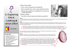 5. Exploring - School Science