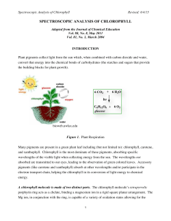 spectroscopic analysis of chlorophyll