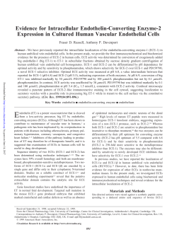 Evidence for Intracellular Endothelin-Converting Enzyme