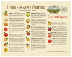 Heirloom Apple Varieties