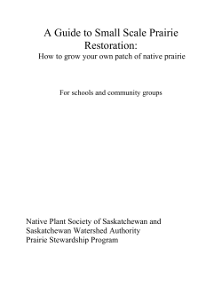A Guide to Small Scale Prairie Restoration