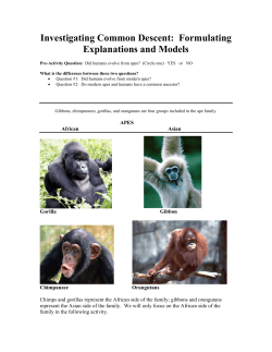 Investigating Common Descent