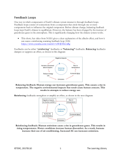 Feedback Loops