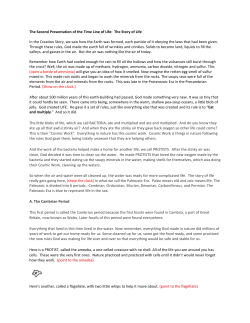 Timeline of Life - Little Schoolhouse in the Suburbs