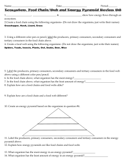 Ecosystem, Food Chain/Web and Energy Pyramid Review WS