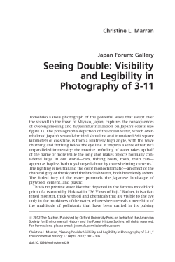 Seeing Double: Visibility and Legibility in Photography of 3-11