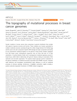 The topography of mutational processes in breast cancer genomes
