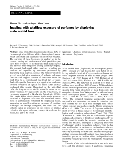 Juggling with volatiles: exposure of perfumes by displaying male