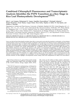 Combined Chlorophyll Fluorescence and