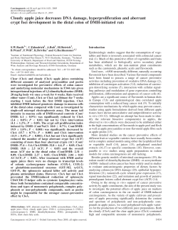 Cloudy apple juice decreases DNA damage