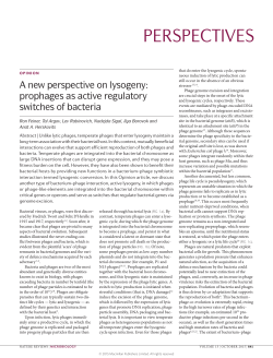 A new perspective on lysogeny: prophages as active regulatory