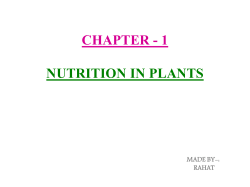 CHAPTER &ndash; 1 NUTRITION IN PLANTS