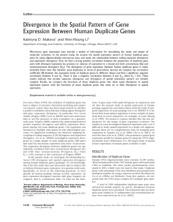 Divergence in the Spatial Pattern of Gene Expression Between