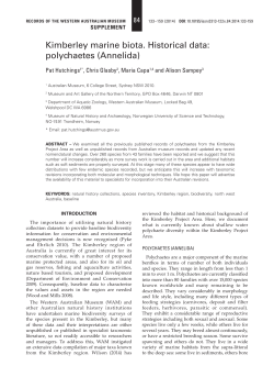 Kimberley marine biota. Historical data: polychaetes (Annelida)