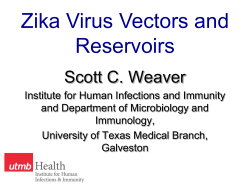 Panel 2 - Scott Weaver