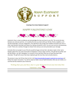 February 2013 - Asian Elephant Support
