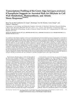 Transcriptome Profiling of the Green Alga Spirogyra pratensis