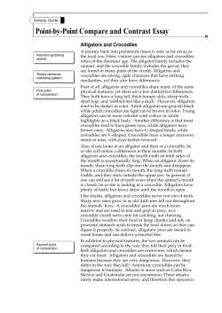 Point-by-Point Compare and Contrast Essay
