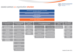 organisation structure