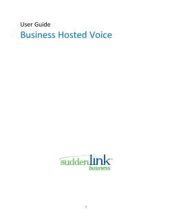 - Suddenlink Business