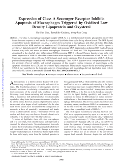 Expression of Class A Scavenger Receptor Inhibits Apoptosis of